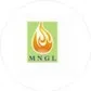 Maharashtra Natural Gas Limited (MNGL) Bill Payment