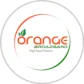 Orange Broadband Bill Payment Orange Broadband Bill Payment